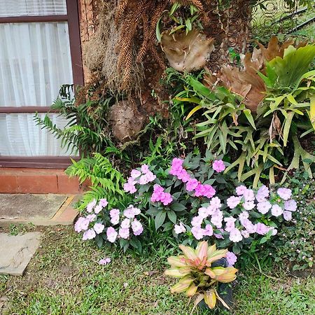 Hotel Sitio Mae Terra Afonso  Zewnętrze zdjęcie